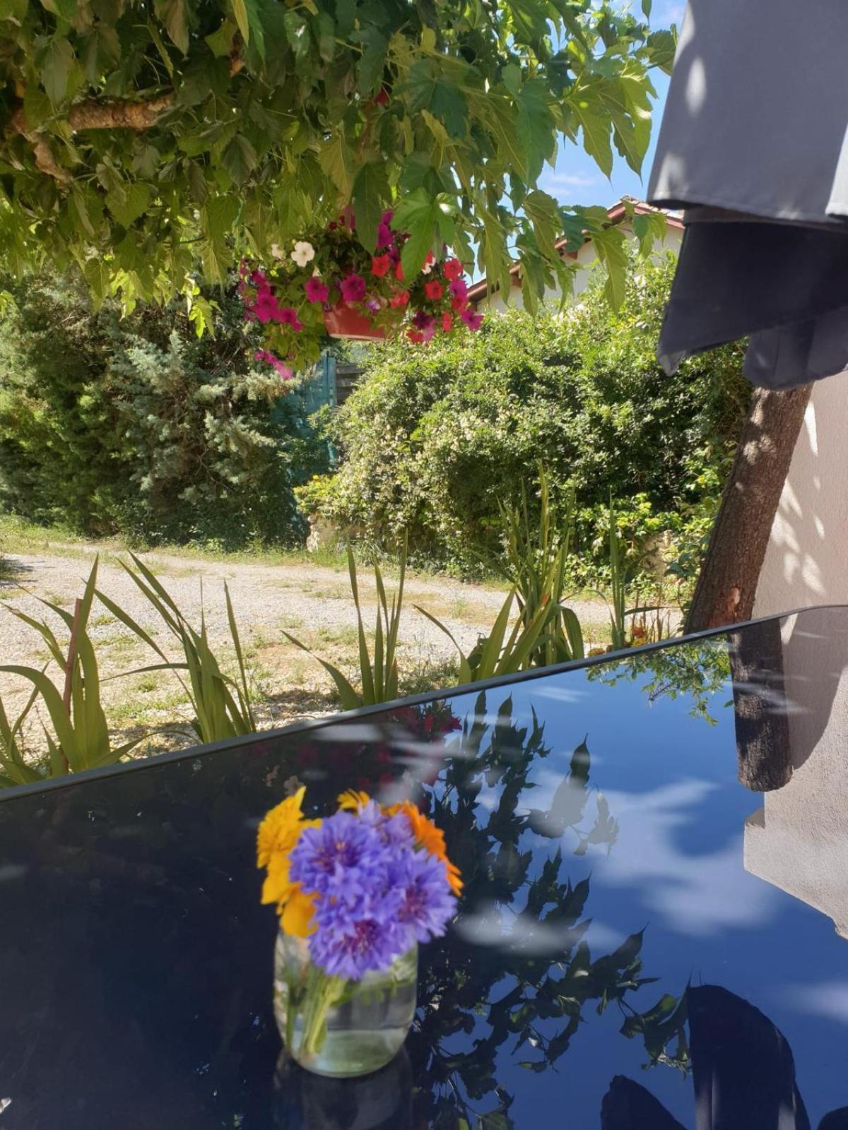 Sous Les Chenes Hotel Saint-Martin-de-Bromes Bagian luar foto